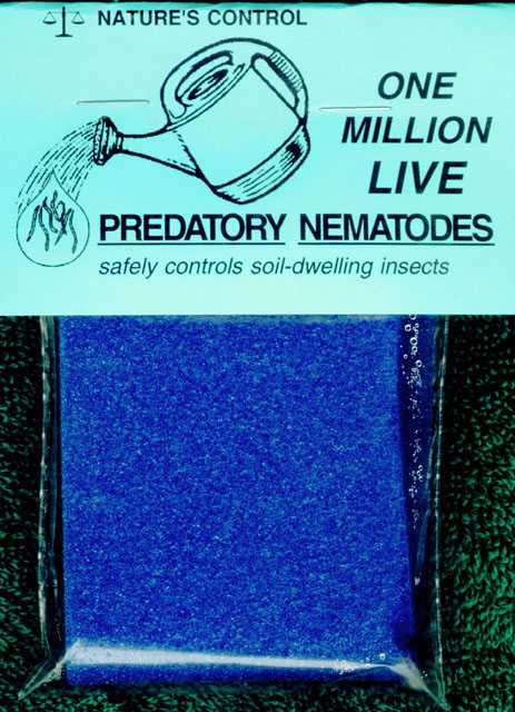 nematodes.jpg