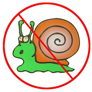 http://www.naturescontrol.com/images/sluggo_snail.jpg